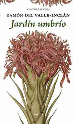 Jardín umbrío